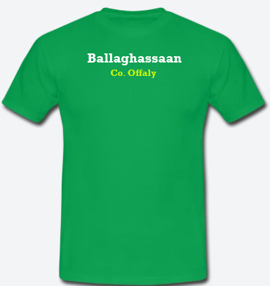 Ballaghassaan, County Offaly