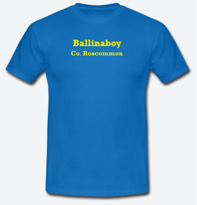 Ballinaboy, County Roscommon