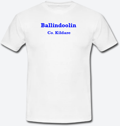 Ballindoolin, County Kildare