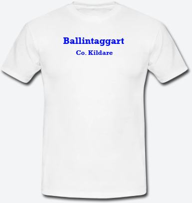 Ballintaggart, County Kildare