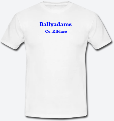 Ballyadams, County Kildare