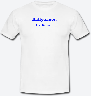 Ballycanon, County Kildare