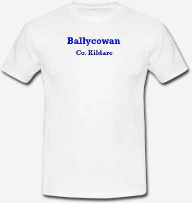 Ballycowan, County Kildare