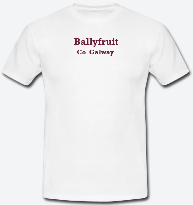 Ballyfruit, County Galway