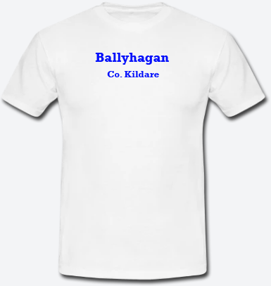 Ballyhagan, County Kildare