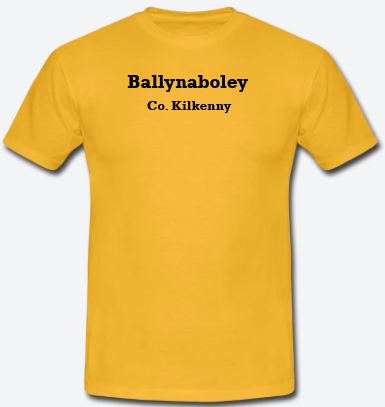 Ballynaboley, County Kilkenny