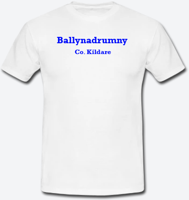 Ballynadrumny, County Kildare