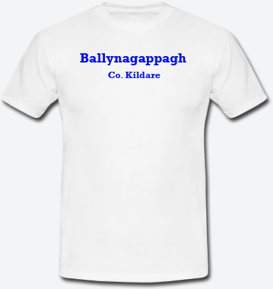 Ballynagappagh, County Kildare