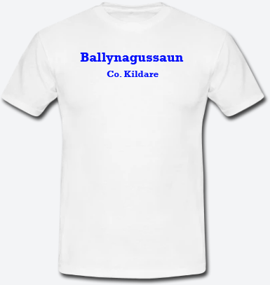 Ballynagussaun, County Kildare