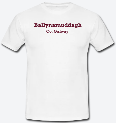 Ballynamuddagh, County Galway