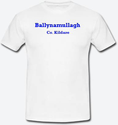 Ballynamullagh, County Kildare