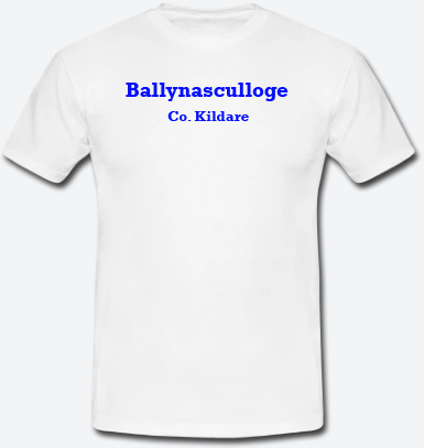 Ballynasculloge, County Kildare