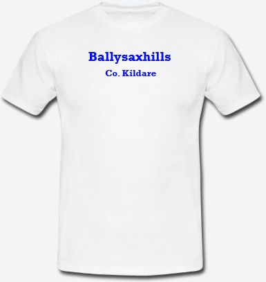 Ballysaxhills, County Kildare