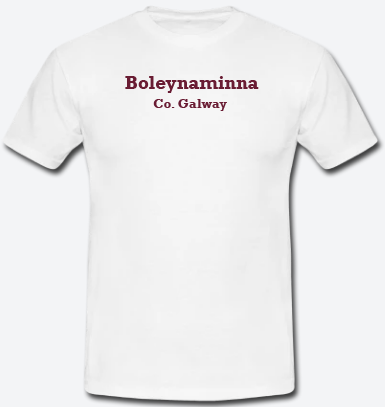 Boleynaminna, County Galway