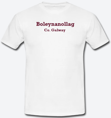 Boleynanollag, County Galway