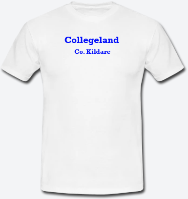 Collegeland, County Kildare