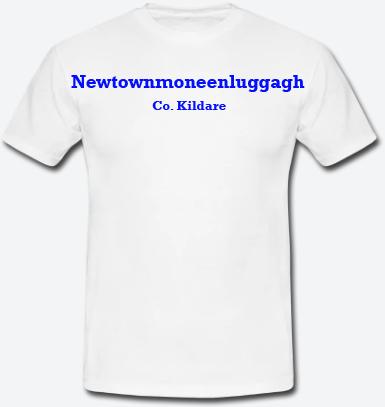 Newtownmoneenluggagh, County Kildare