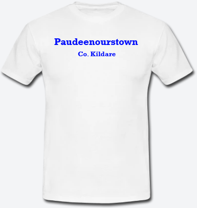 Paudeenourstown, County Kildare