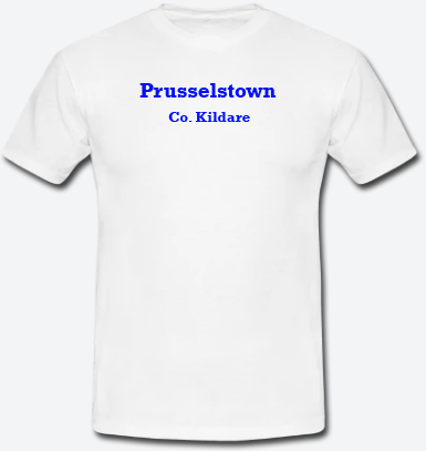 Prusselstown, County Kildare