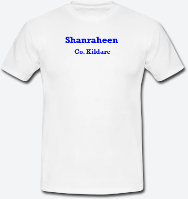 Shanraheen, County Kildare