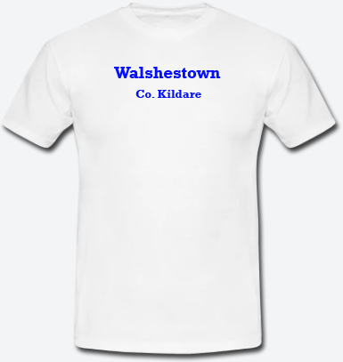 Walshestown, County Kildare