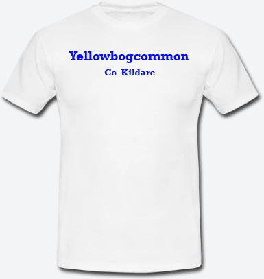 Yellowbogcommon, County Kildare